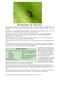 Stink Bugs Return - By Annette Ipsan