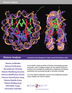 Histone Analysis Histone Antibodies Histone Purification