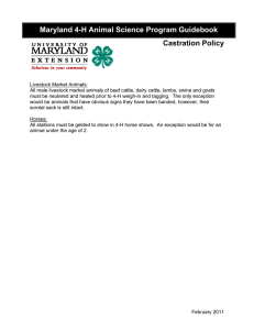 Maryland 4-H Animal Science Program Guidebook Castration Policy