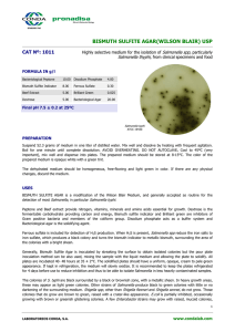 BISMUTH SULFITE AGAR(WILSON BLAIR) USP CAT Nº: 1011 Salmonella spp, Salmonella thyphi