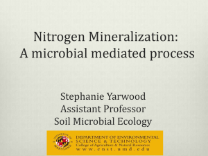 Nitrogen Mineralization: A microbial mediated process Stephanie Yarwood Assistant Professor