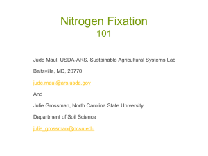 Nitrogen Fixation 101