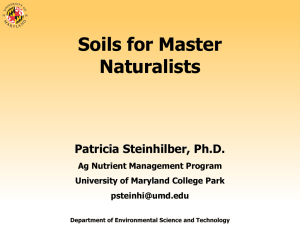 Soils for Master Naturalists  Patricia Steinhilber, Ph.D.