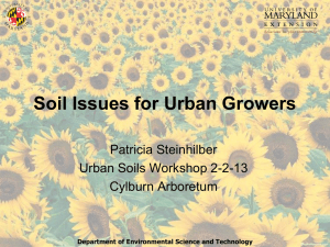Soil Issues for Urban Growers Patricia Steinhilber Urban Soils Workshop 2-2-13 Cylburn Arboretum