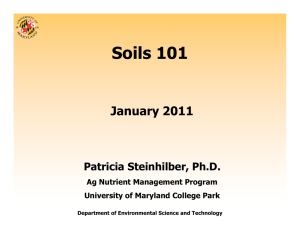 Soils 101 January 2011 Patricia Steinhilber, Ph.D. Ag Nutrient Management Program