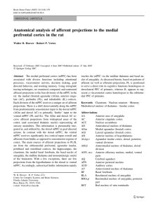Anatomical analysis of afferent projections to the medial Walter B. Hoover