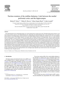 Nucleus reuniens of the midline thalamus: Link between the medial
