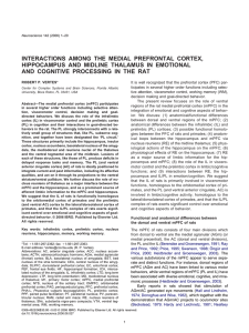INTERACTIONS AMONG THE MEDIAL PREFRONTAL CORTEX,