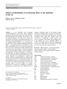 Pattern of distribution of serotonergic fibers to the thalamus