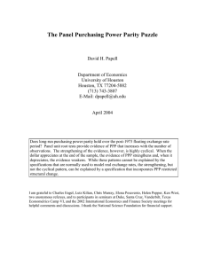 The Panel Purchasing Power Parity Puzzle