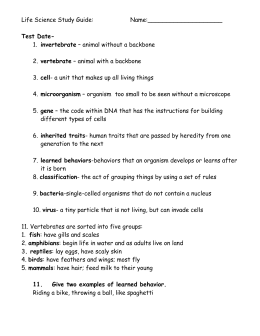 Invertebrate Study Guide A Answers