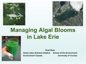 Managing Algal Blooms in Lake Erie