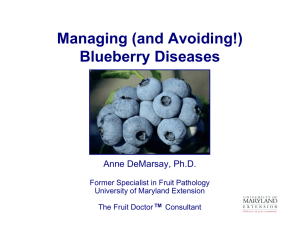Managing (and Avoiding!) Blueberry Diseases Anne DeMarsay, Ph.D.