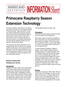 Primocane Raspberry Season Extension Technology