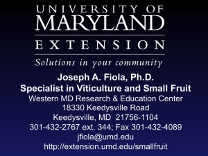 Joseph A. Fiola, Ph.D. Specialist in Viticulture and Small Fruit