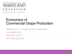 Economics of Commercial Grape Production UNIVERSITY OF MARYLAND EXTENSION SHANNON DILL
