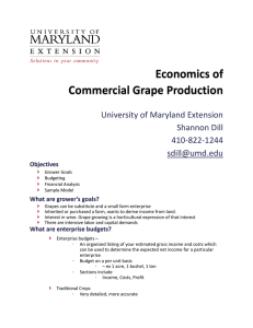 Economics of Commercial Grape Production University of Maryland Extension Shannon Dill