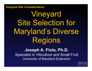 Vineyard Site Selection for Maryland’s Diverse Regions