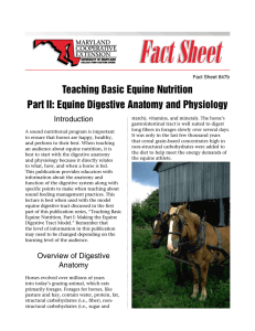 Teaching Basic Equine Nutrition Part II: Equine Digestive Anatomy and Physiology Introduction
