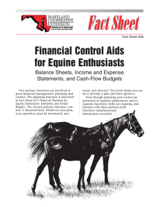 Financial Control Aids for Equine Enthusiasts Balance Sheets, Income and Expense