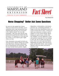 Horse Shopping?  Better Ask Some Questions