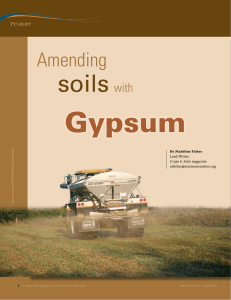 Gypsum soils  Amending