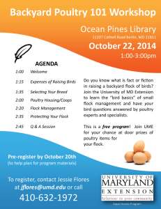 Backyard Poultry 101 Workshop Ocean Pines Library October 22, 2014 1:00-3:00pm