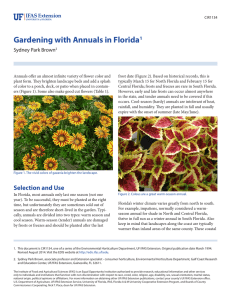 Gardening with Annuals in Florida Sydney Park Brown 1