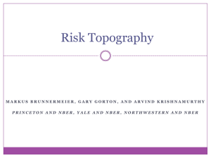 Risk Topography