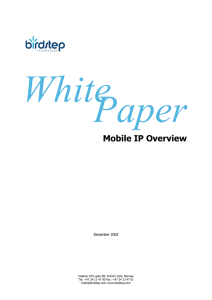 WhitePaper  Mobile IP Overview December 2002