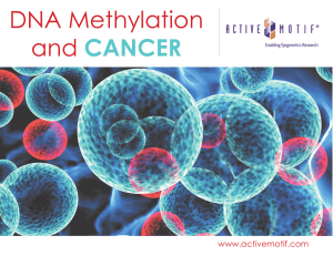 DNA Methylation and CANCER www.activemotif.com