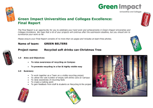 Green Impact Universities and Colleges Excellence: Final Report