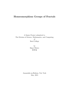 Homeomorphism Groups of Fractals