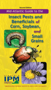 Insect Pests and Beneficials Corn, Soybean,