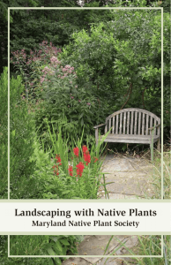 Landscaping with Native Plants Maryland Native Plant Society