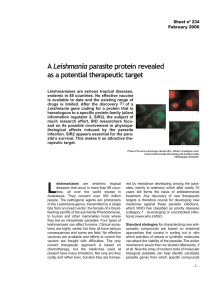 Leishmania as a potential therapeutic target Sheet nº 234 February 2006