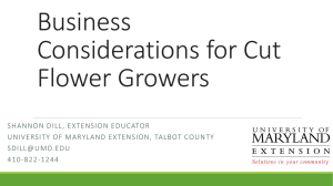 Business Considerations for Cut Flower Growers