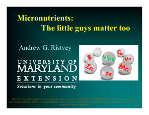 Micronutrients: The little guys matter too Andrew G. Ristvey