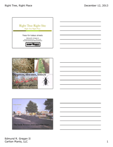 Right Tree Right Site Disasters, diseases, insects and invasive plants
