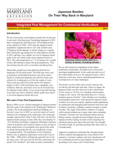 Integrated Pest Management for Commercial Horticulture Japanese Beetles: Introduction