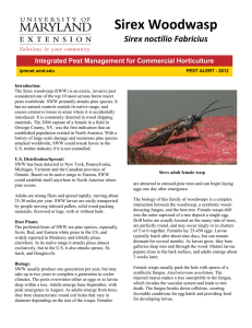 Sirex noctilio Fabricius Integrated Pest Management for Commercial Horticulture