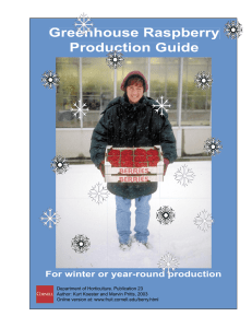 Greenhouse Raspberry Production Guide For winter or year-round production