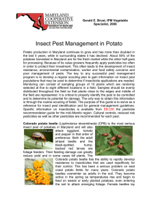 Insect Pest Management in Potato