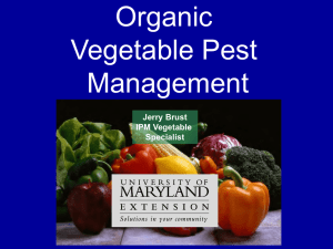 Organic Vegetable Pest Management Jerry Brust