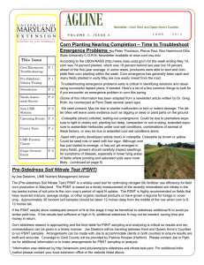 AGLINE Corn Planting Nearing Completion – Time to Troubleshoot Emergence Problems -