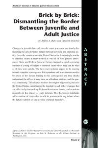 Brick by Brick: Dismantling the Border Between Juvenile and Adult Justice