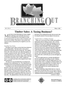 M Timber Sales: A Taxing Business?