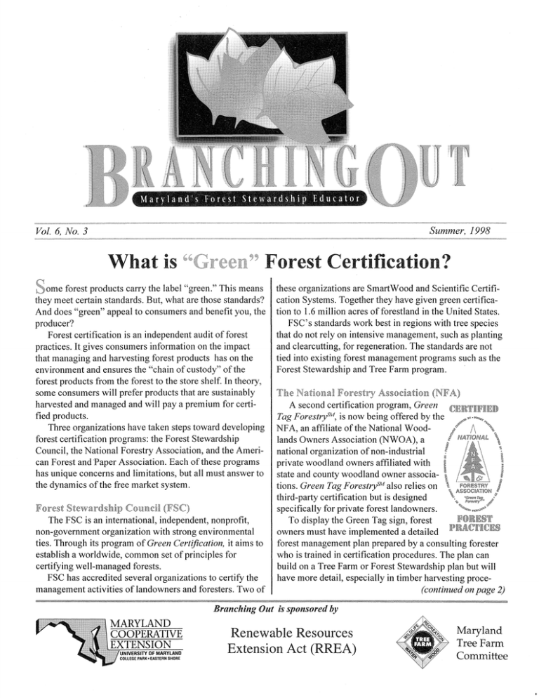 quot Green quot What is Forest Certification?