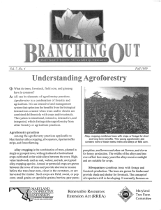 U Understanding Agroforestry 'I' ·U\·\.·
