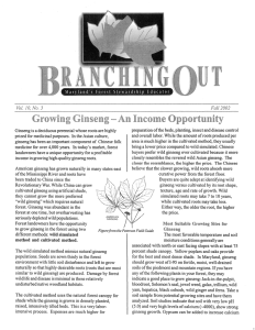 T Growing Ginseng - An Income Opportunity i.~'l